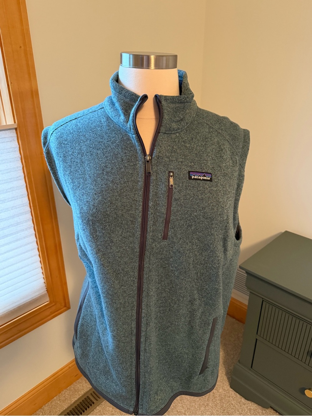 Patagonia Men's Teal Zip-Up Fleece Vest